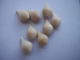 0.6g pear balsa bodies 1mm bore(8)